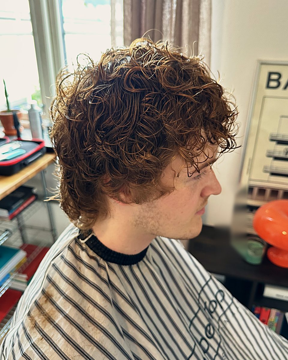 Curly mullet, in profile